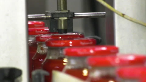 Automatic Line for Processing of Vegetables Stock Footage 162561344