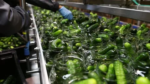 Automatic line for processing vegetables. Video stock 202895217