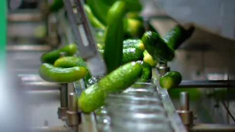 Automatic Line for Processing of Vegetables. Glass jars with Cucumber on a Stock Footage 92937623