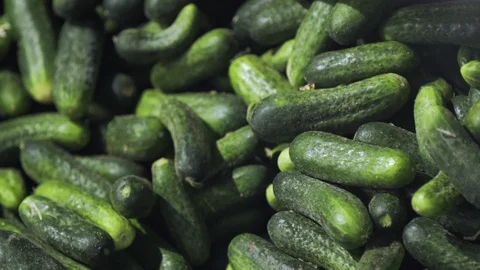 Automatic Line for Processing of Vegetables. Preserving Cucumber. Canned Stock Footage 127853314