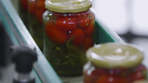 Automatic Line for Processing of Vegetables. Preserving Tomatoes and cucumbers Stock Footage 127856369