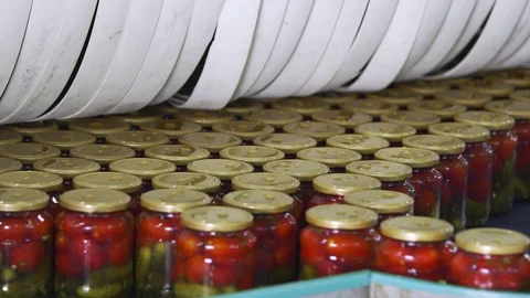 Automatic Line for Processing of Vegetables. Preserving Tomatoes and cucumbers Stock Footage 127856574