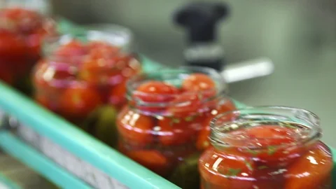 Automatic Line for Processing of Vegetables. Preserving Tomatoes and cucumbers Stock Footage 127857700