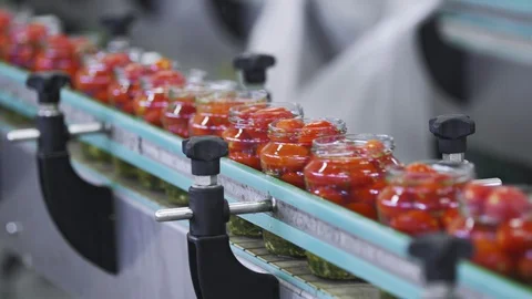 Automatic Line for Processing of Vegetables. Preserving Tomatoes and cucumbers Stock Footage 127857847