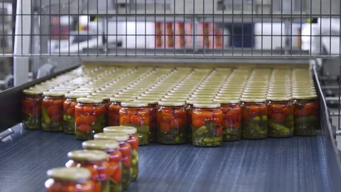 Automatic Line for Processing of Vegetables. Preserving Tomatoes and cucumbers Stock Footage 127858809