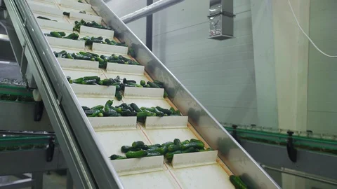 Automatic Line for Processing of Vegetables. Preserving Cucumber. Canned Stock Footage 127862200