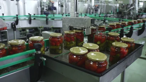 Automatic Line for Processing of Vegetables. Preserving Tomatoes and cucumbers Stock Footage 127862529