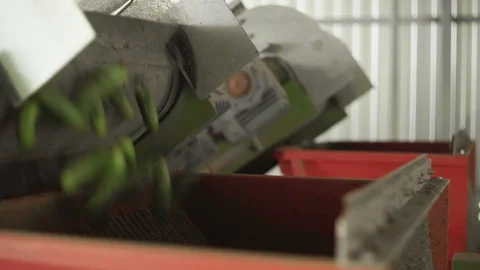 Automatic Line for Processing of Vegetables. Preserving Cucumber. Canned Stock Footage 129263147
