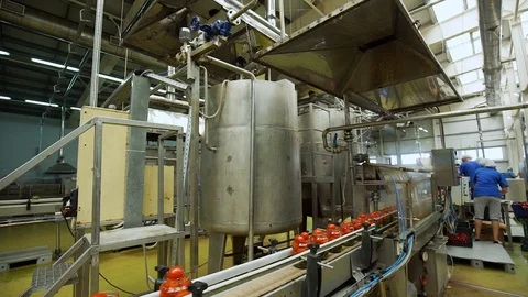 Automatic Line for Processing of Vegetables.Workers on the Production of Canned Stock Footage 95143421