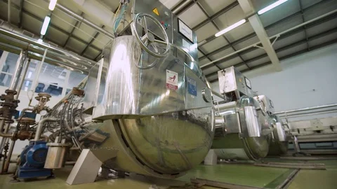 Automatic Line for Processing of Vegetables.Workers on the Production of Canned Stock Footage 95145620