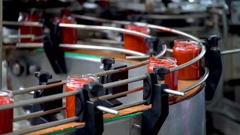 Automatic Line for Processing of Vegetables.Workers on the Production of Canned Stock Footage 165777578