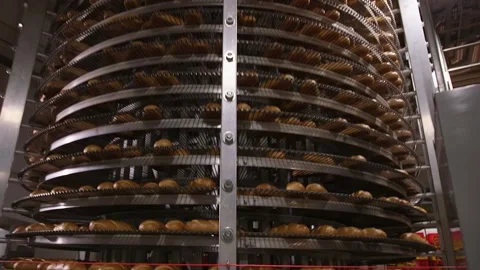 Automatic line for the production of bakery products with a loaf on a conveyor Stock-Footage 200401314