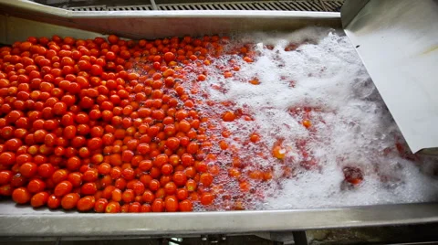 Automatic line for the production of tomato paste Stock Footage 67208765
