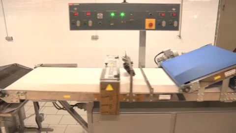 Automatic line of thin dough Stock Footage 105402528