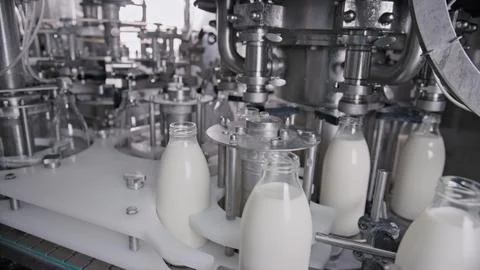 Automatic machine bottling fresh milk in dairy product plant Stock Illustration