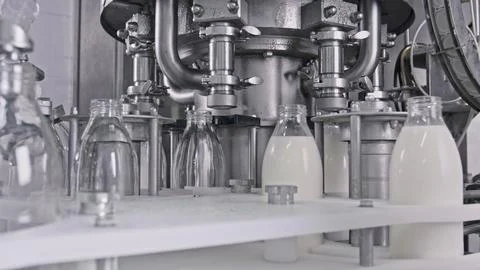 Automatic machine bottling milk in dairy food processing plant Illustrazione stock
