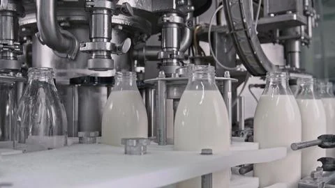 Automatic machine bottling milk in glass bottles on industrial production lin Stock Illustration