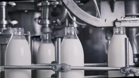 Automatic machine bottling milk in glass bottles on industrial production lin Stock Illustration