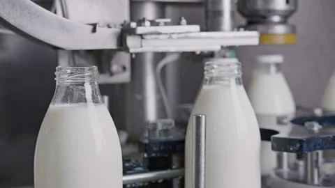 Automatic machine bottling milk in glass bottles on industrial production lin イラスト素材