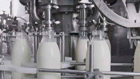 Automatic machine bottling milk in glass bottles on industrial production lin Stock Illustration