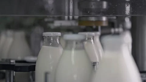 Automatic machine capping glass bottles of milk in dairy processing plant Illustrazione stock