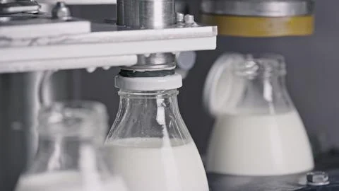 Automatic machine capping glass milk bottles in dairy factory Stock Illustration