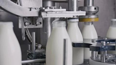 Automatic machine capping milk bottles in dairy factory Stock Illustration