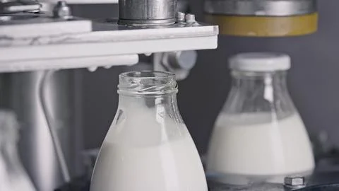 Automatic machine capping milk bottles in dairy factory Stock Illustration