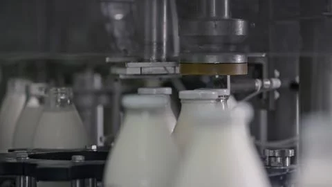 Automatic machine capping milk bottles in dairy factory Stock Illustration