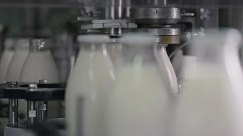Automatic machine capping milk bottles in dairy factory Stock Illustration