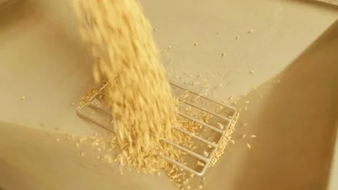 Automatic machine for crushing malt into powder Stock Footage 158266159