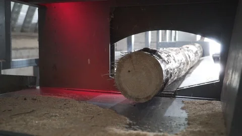 Automatic machine cuts raw wood Stock Footage 128074984