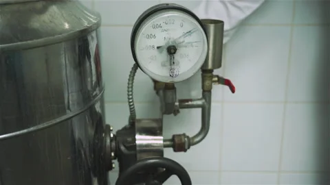 Automatic machine in a food factory for mixing meat and spices for making hot Vidéo 131858988