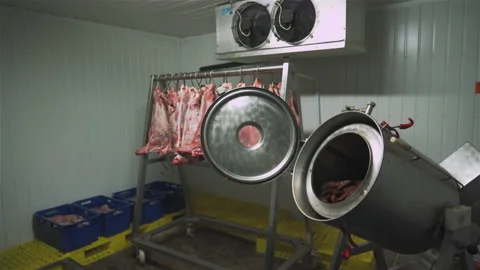 Automatic machine in a food factory for mixing meat and spices for making hot Vídeos de archivo 131859132