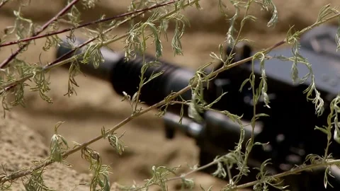 Automatic machine gun grenade launcher stands in a trench, focus transfer Stock Footage 112629692