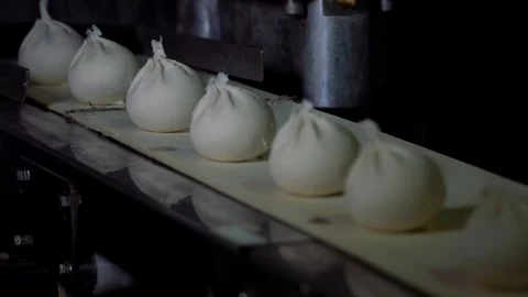 Automatic Machine Production Process at a Dumpling Factory. Fresh Raw Pelmeni Stock Footage 120694758