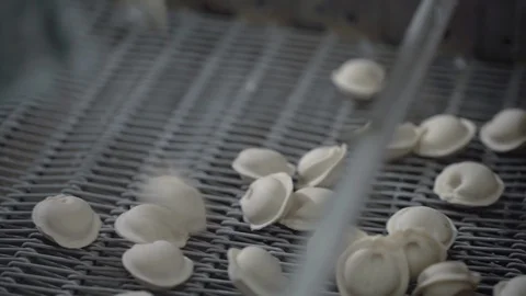 Automatic Machine Production Process at a Dumpling Factory. Fresh Raw Pelmeni Stock Footage 128302528