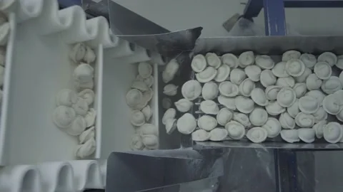 Automatic Machine Production Process at a Dumpling Factory. Fresh Raw Pelmeni Stock Footage 169140193