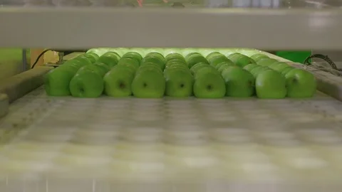 Automatic machine with vacuum suction cups , moves apples in the container. Stock Footage 85107894