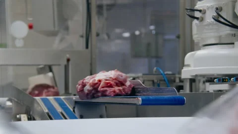 Automatic meat packing close-up Видео 159960215