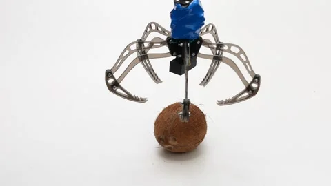 The automatic mechanized gripper system reacts to the object and controls t.. Stock Footage 242454846