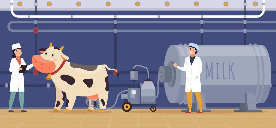 Automatic milking. Machine milking process, cow with special device, nutritious Illustrazione stock