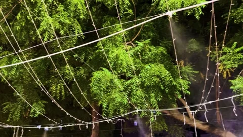 Automatic mist spray system at outdoor for summer cool effect at street Stock Footage 336028422