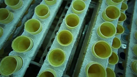 Automatic Modern Equipment At Work During Ice-Cream Production. Food Factory Stock Footage 80778744