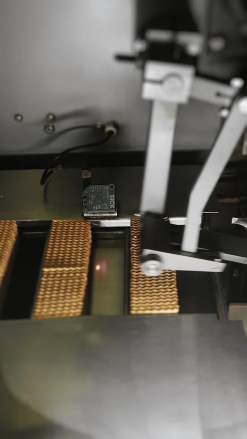 Automatic packaging of crackers at the factory. Stock Footage 293423912