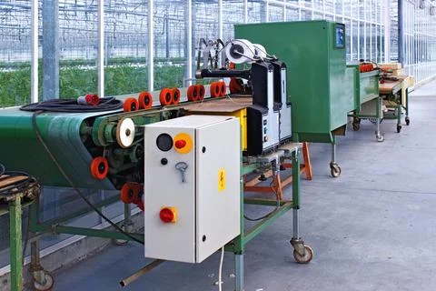Automatic packaging line with flower processing machine in the nursery of o.. 스톡 사진