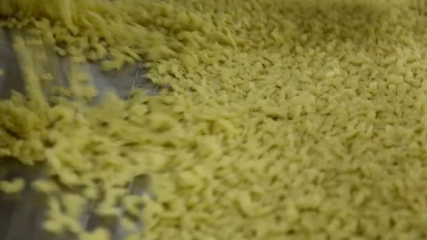Automatic pasta production Stock Footage 71302333
