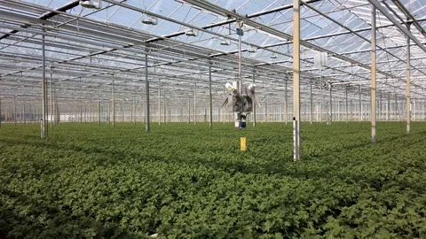 Automatic pest control in a greenhouse Stock Footage 106146294