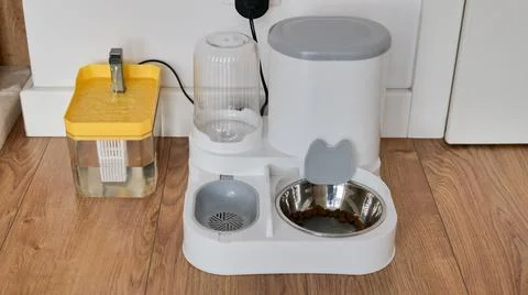 Automatic Pet Feeder and Water Dispenser for Cats and Dogs on a Wooden Floor Stock Photos