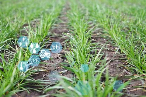 Automatic plant growth control without human intervention monitoring and anal Stock Photos